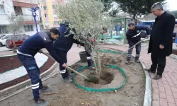 Kuru Peyzaj Çalışmalarını Sürdürüyor