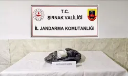 Kaçakçılıkla Mücadelede Büyük Başarı: 10 Milyon TL’lik Malzeme ve 49 Gözaltı