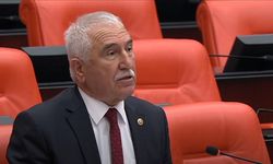 CHP’li Durmaz Tokat’taki Tarihî Zenginliklere Ödenek İstedi