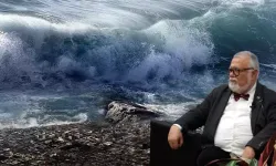 Prof. Dr. Celal Şengör: Marmara’da 7 Metre Yüksekliğinde Tsunami Dalgası Olabilir!