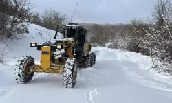 Kar Yüzünden Kapanan 85 Köy Yolu İçin Seferberlik Başlatıldı!