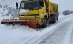 Karla Mücadelede Büyük Başarı! 137 Mahalle Yolu Ulaşıma Açıldı!