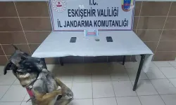 Uyuşturucu Operasyonu: 6,6 Gram Bonzaiyle Yakalanan 2 Şüpheli Gözaltına Alındı!