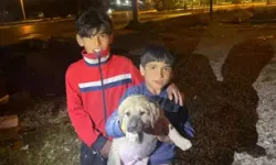 Kuyuya Düşen Yavru Köpek İçin İtfaiye Seferber Oldu!