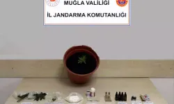 Jandarmadan Uyuşturucu Operasyonunda  1 Tutuklama