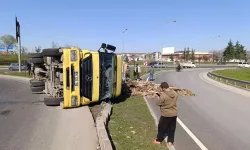 Devrilen Ahşap Palet Yüklü Kamyonun Sürücüsü Yaralandı