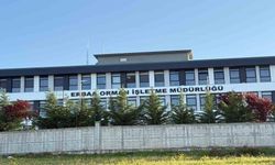 Erbaa Orman İşletme Müdürlüğü Operasyonunda 7 Kişide Serbest