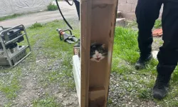 Kedinin İmdadına İtfaiye Yetişti: Dolaba Sıkışan Kedi Kurtarıldı