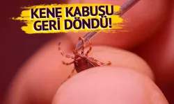 KKKA Şüphesiyle Tokat’ta Hastaneye Kaldırılan 1,5 Yaşındaki Metehan Yaşamını Yitirdi