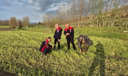 Tokat’ta Dolu Zararına Müdahale: Tarım İl Müdürü Orhan Şahin Çiftçilerle Bir Araya Geldi