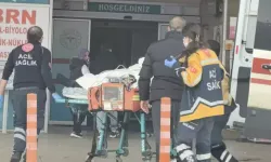 Tarlada Feci Son! Köstebek Tabancası Can Aldı!