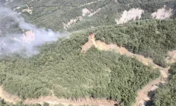 Orman Yangını Kısa Sürede Söndürüldü