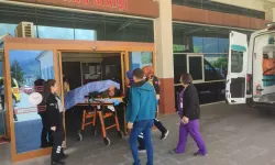 Çobanın Tüfeği Kazayla Ateş Aldı: Yaralandı