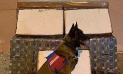 Yolcu Otobüsünde 175 Bin Dolu Makaron Yakalandı