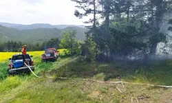 Yıldırım Düşmesi Sonucu Orman Yangını