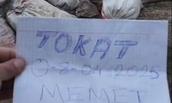 Mozaik Buldukları Kaçak Kazıyı Sosyal Medyada Paylaşan Şüpheliler, Yakayı Ele Verdi