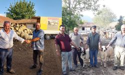 Erbaa’da Kurbanlık Pazarları Hareketlendi: 2025 Fiyatları Belli Oldu