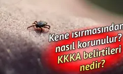 Tokat'ta Yazla Gelen Tehlike: Kene Isırıklarına Karşı Ne Yapmalı?