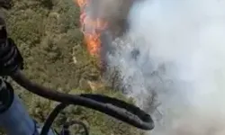 İzmir`de Orman Yangını: Ekipler Müdahaleye Devam Ediyor