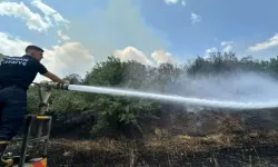 Edirne`de Elektrik Trafosundan Çıkan Kıvılcımlar Yangına Neden Oldu