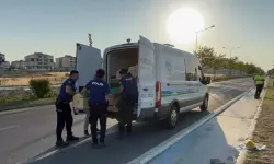 Motosiklet Kazası: 14 Yaşındaki A.Ö Hayatını Kaybetti