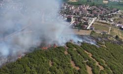Niksar’da  Maki Yangınında 15 Dönüm Alan Zarar Gördü