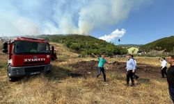 Niksar’da Orman Yangını Paniği: Ekipler Alevlere Karşı Seferber Oldu