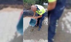 Polislerden Örnek Davranış: Alevlerin Arasındaki Kaplumbağayı Kurtardılar