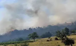 Orman Yangını: Müdahale Havadan ve Karadan Sürüyor