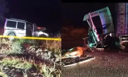 Geyiğe Çarpan Araç Kamyonla Çarpıştı, Sürücü Hayatını Kaybetti