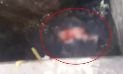 Yeni Doğurduğu Bebeğini Çöpe Attı