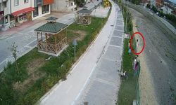 Erbaa’da Kediyi Kurtarmak İsterken Dere Yatağına Düşüp Yaralandı