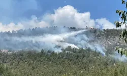 Orman Yangını Sürüyor: Vali Yavuz’dan Açıklama
