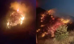 Orman Yangını: 2 Hektar Alan Zarar Gördü