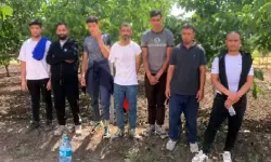 9 Kaçak Göçmen Jandarma Tarafından Yakalandı