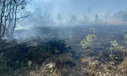Bolu’da Orman ve Çalılık Alanda Yangın: Yerleşim Yerlerine Yakın Bölge Tehlike Altında