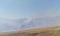 Osmaniye Sumbas’ta Anız Yangını Makilik Alana Sıçradı: Müdahale Sürüyor