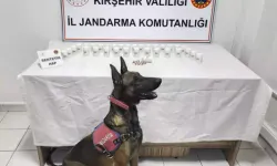 Uyuşturucu Operasyonu: 2 Şüpheli Gözaltında