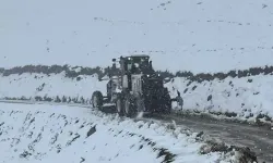 Kar Yağışı Sonrası Yaylada Mahsur Kalan Vatandaşlar Kurtarıldı