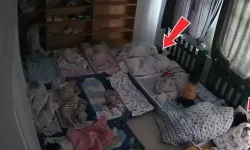 Özel Kreşte Şiddet İddiası: Soruşturma Başlatıldı, Öğretmenler Görevden Alındı