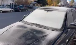 Soğuk Hava Etkisini Gösterdi: Bitkiler Kırağıyla Kaplandı, Araçlar Buz Tuttug