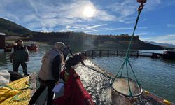 Almus’un Gökkuşağı Alabalıkları Karadeniz Üzerinden Dünyaya Açılıyor
