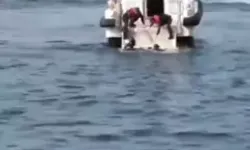 Denizde Erkek Cesedi Bulundu