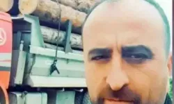 Ormanda Ağaç Devrildi: İşçi Hayatını Kaybetti