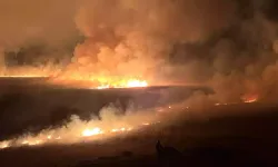 Nehil Sazlığı’nda Yangın: Alevler 3 Kilometrelik Alana Yayıldı