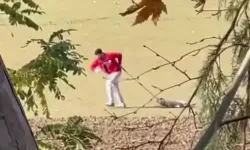 Sokak Köpeğini İple Sürükleyen Belediye Personeli Adli Kontrolle Serbest Bırakıldı