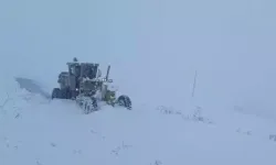 Kar Yağışı Nedeniyle Kapanan 30 Yerleşim Yeri Yolu Açıldı