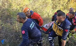 Niksar'da Hafif Ticari Araç, Uçuruma Yuvarlandı; 2 Yaralı