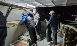 Çanakkale’de 525 Kg Kaçak Balığa El Konuldu