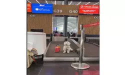 Dünyaca Ünlü Tofu İstanbul Havalimanı’nda